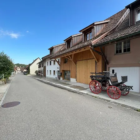 Mary's Family Apartments: Spacious Soho, South Beach, or Loft Near Rhine Falls Schaffhausen Exterior photo