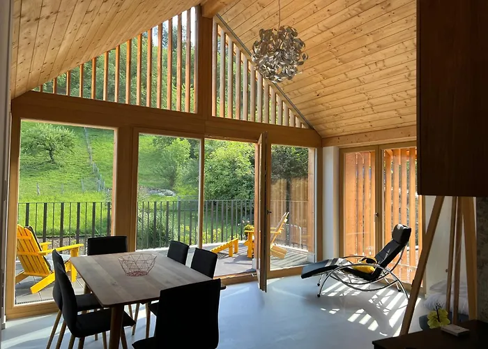 Marys Family Friendly Apartments,Visit Rhine Falls For Free If You Stay 2 Nights, Soho 95M2 2-Bedrooms 2Nd Floor & South Beach 105M2 3-Bedrooms & Loft 115M2 3-Bedrooms Suite With Galerie,Loft Netz 20M2, Pinball, Schaffhausen-Hemmental, Rheinfall 10 K