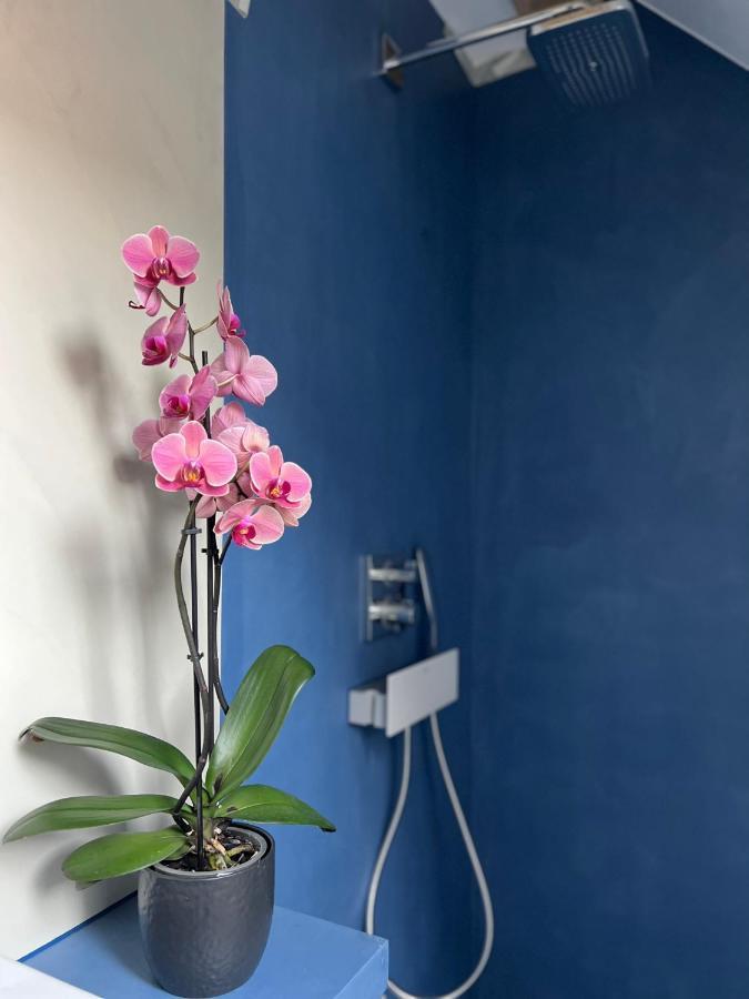 Appartement Marys Family Friendly Apartments,visit Rhine Falls For Free If 2 Nights, Soho 95m2 2-bedrooms 2nd Floor & South 105m2 3-bedrooms & Loft 115m2 3-bedrooms With Galerie,loft Netz 20m2, Pinball, Schaffhausen-hemmental, Rheinfall 10 K