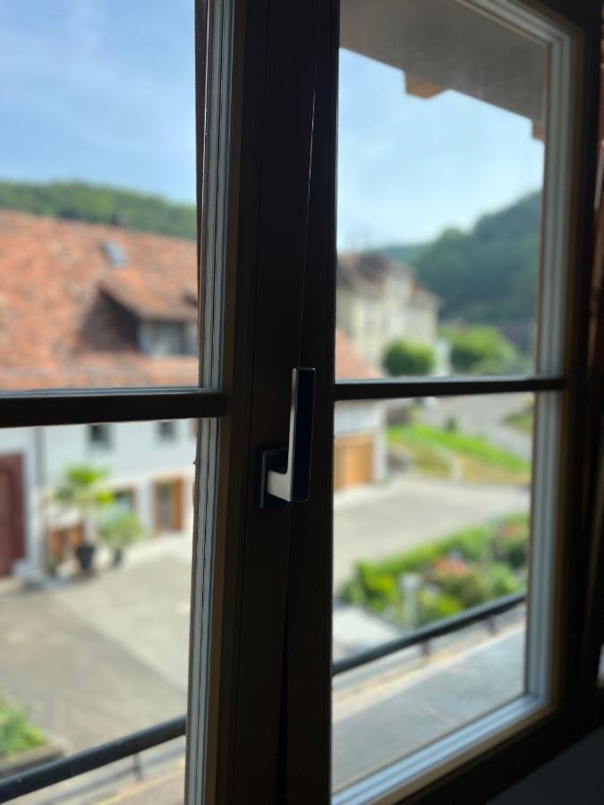 Marys Family Friendly Apartments,visit Rhine Falls For Free If 2 Nights, Soho 95m2 2-bedrooms 2nd Floor & South 105m2 3-bedrooms & Loft 115m2 3-bedrooms With Galerie,loft Netz 20m2, Pinball, Schaffhausen-hemmental, Rheinfall 10 K