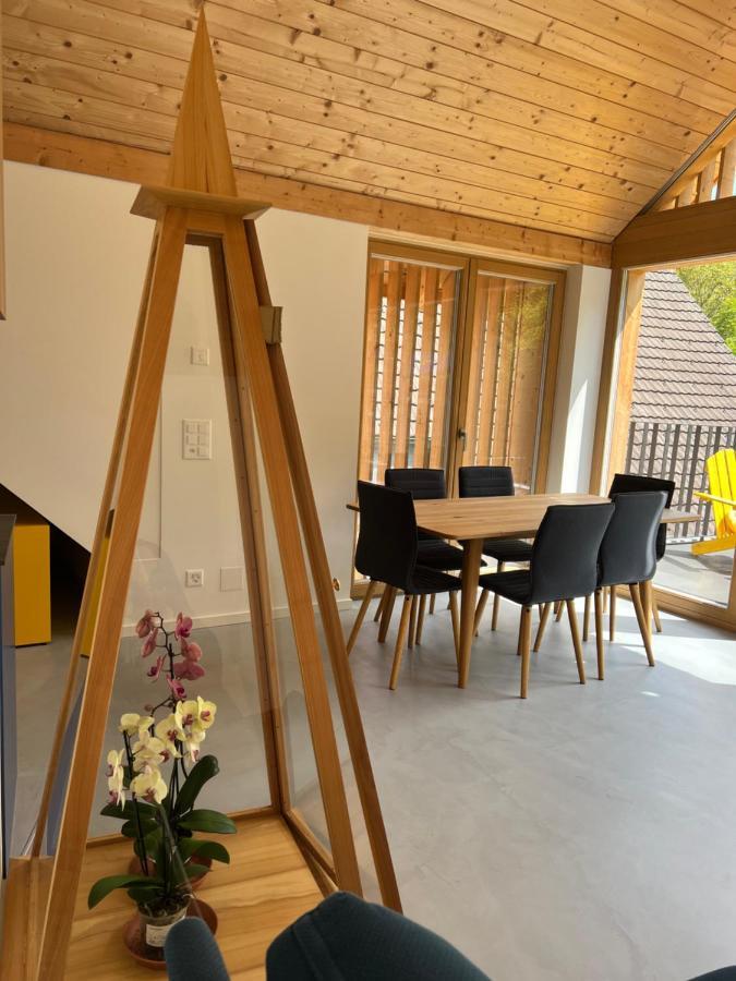 Apartment Mary's Family Apartments: Spacious Soho, South Beach, Or Loft Near Rhine Falls Schaffhausen