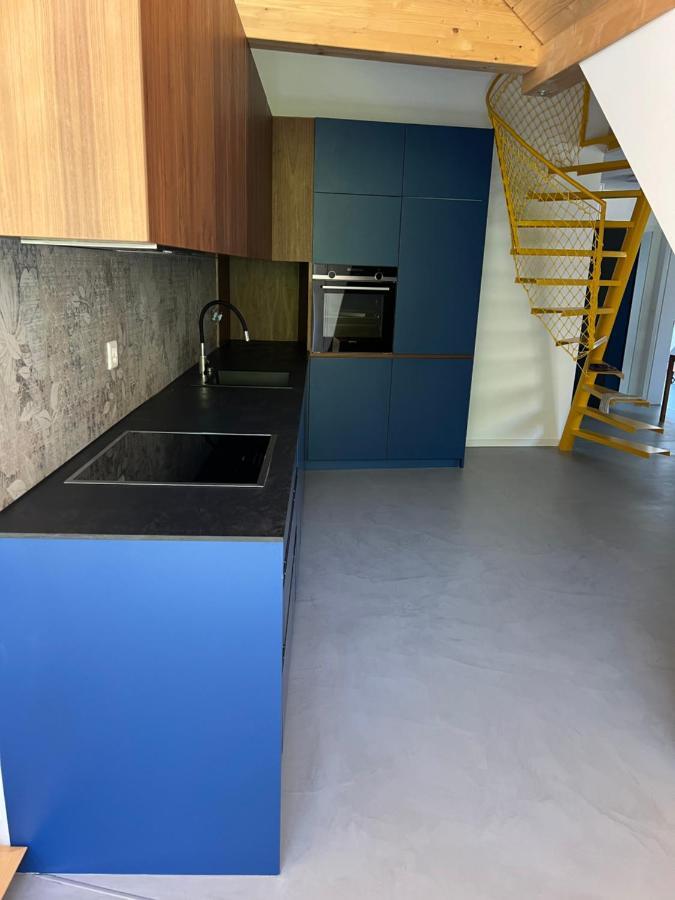 Apartment Mary's Family Apartments: Spacious Soho, South Beach, Or Loft Near Rhine Falls Schaffhausen