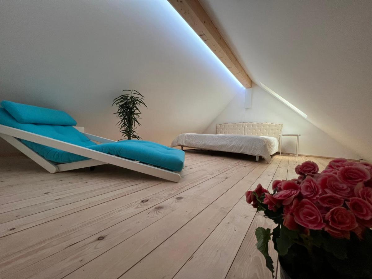 Apartment Mary's Family Apartments: Spacious Soho, South Beach, Or Loft Near Rhine Falls