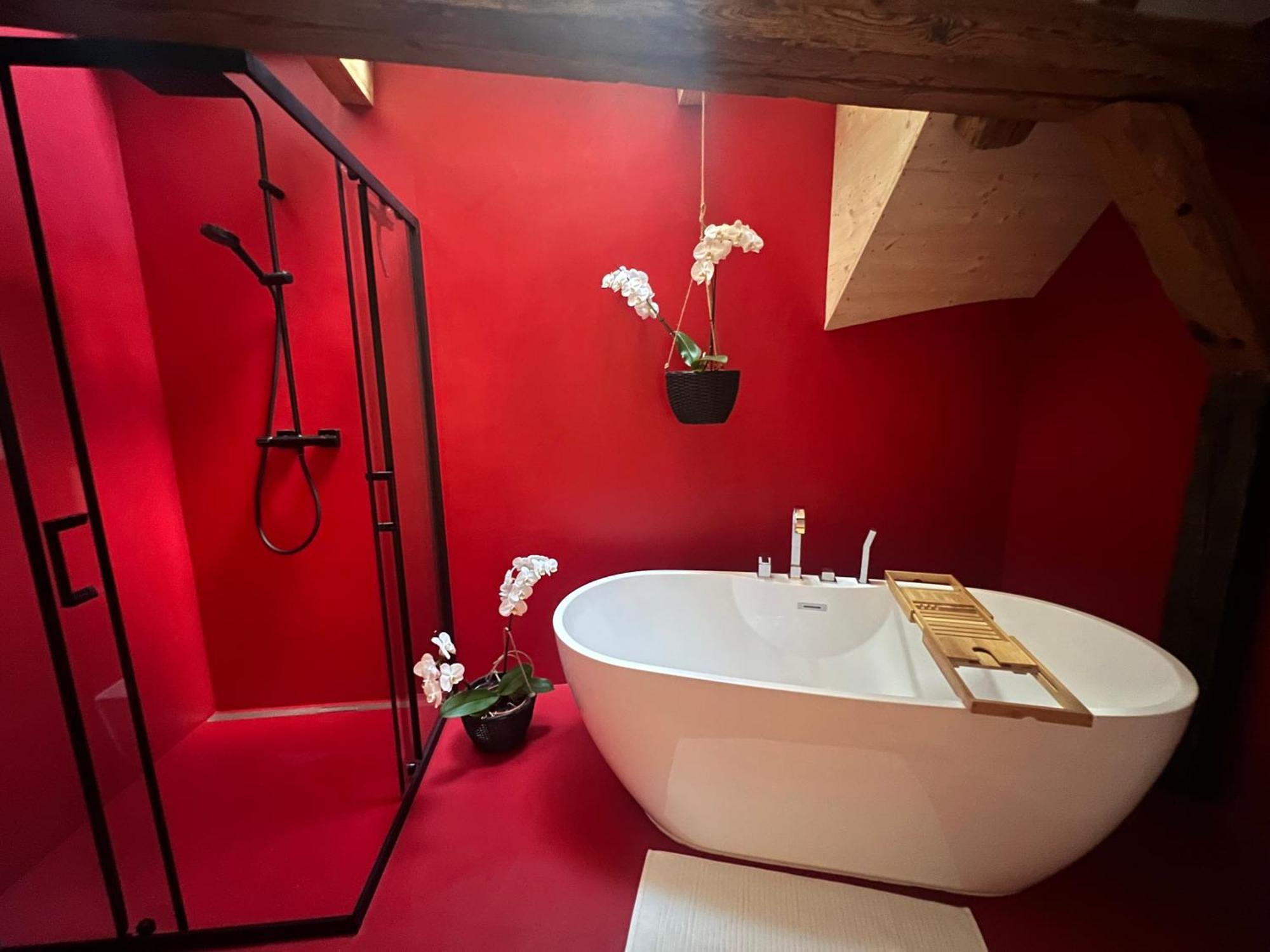 Mary's Family Apartments: Spacious Soho, South Beach, Or Loft Near Rhine Falls * Schaffhausen