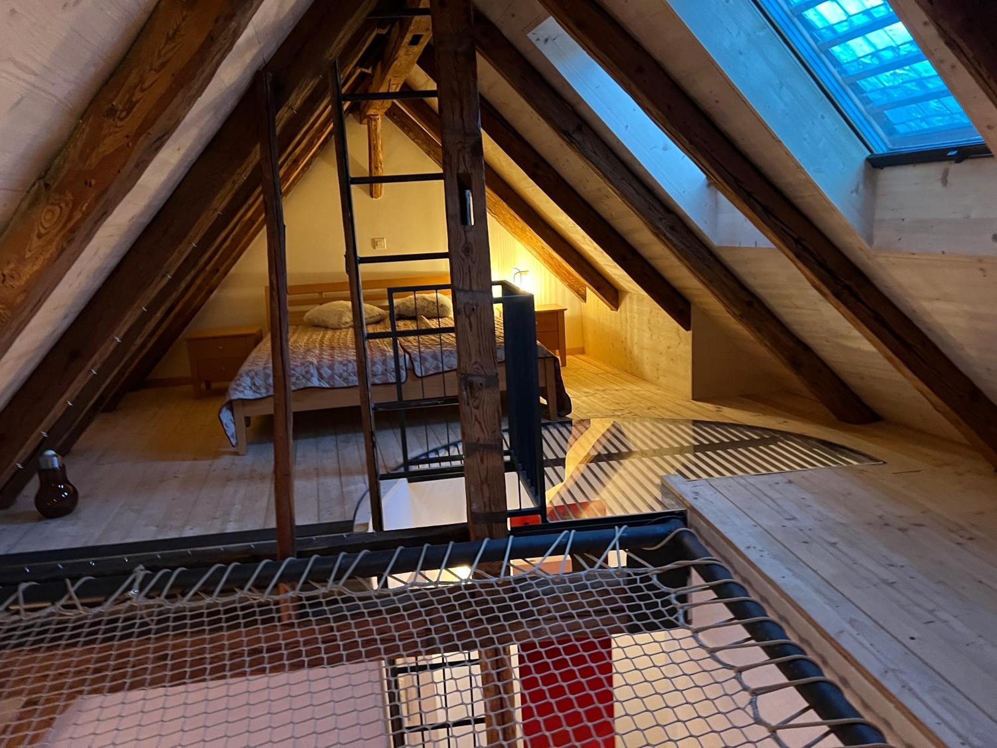 Apartment Mary's Family Apartments: Spacious Soho, South Beach, Or Loft Near Rhine Falls Schaffhausen