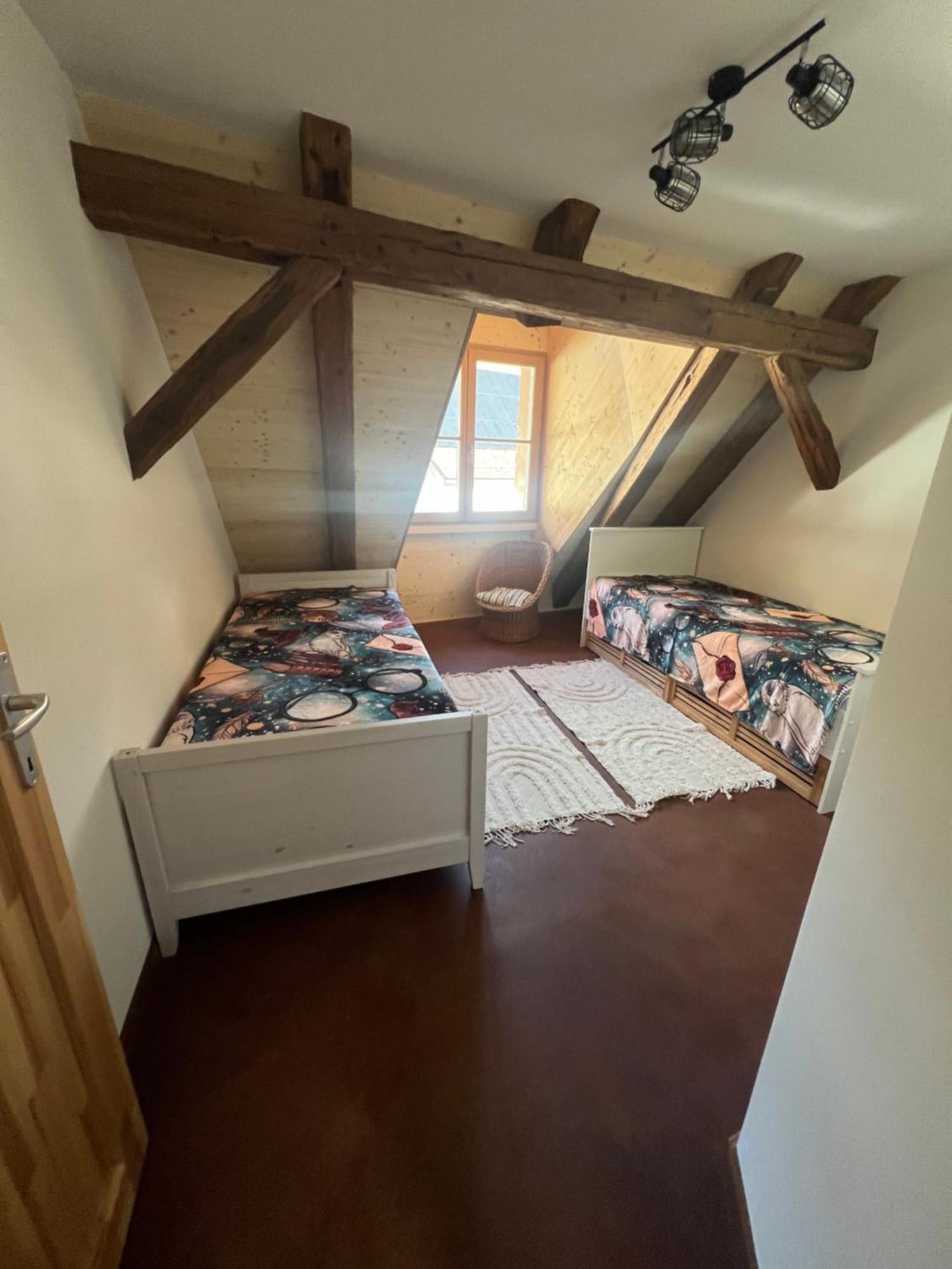 Apartment Mary's Family Apartments: Spacious Soho, South Beach, Or Loft Near Rhine Falls
