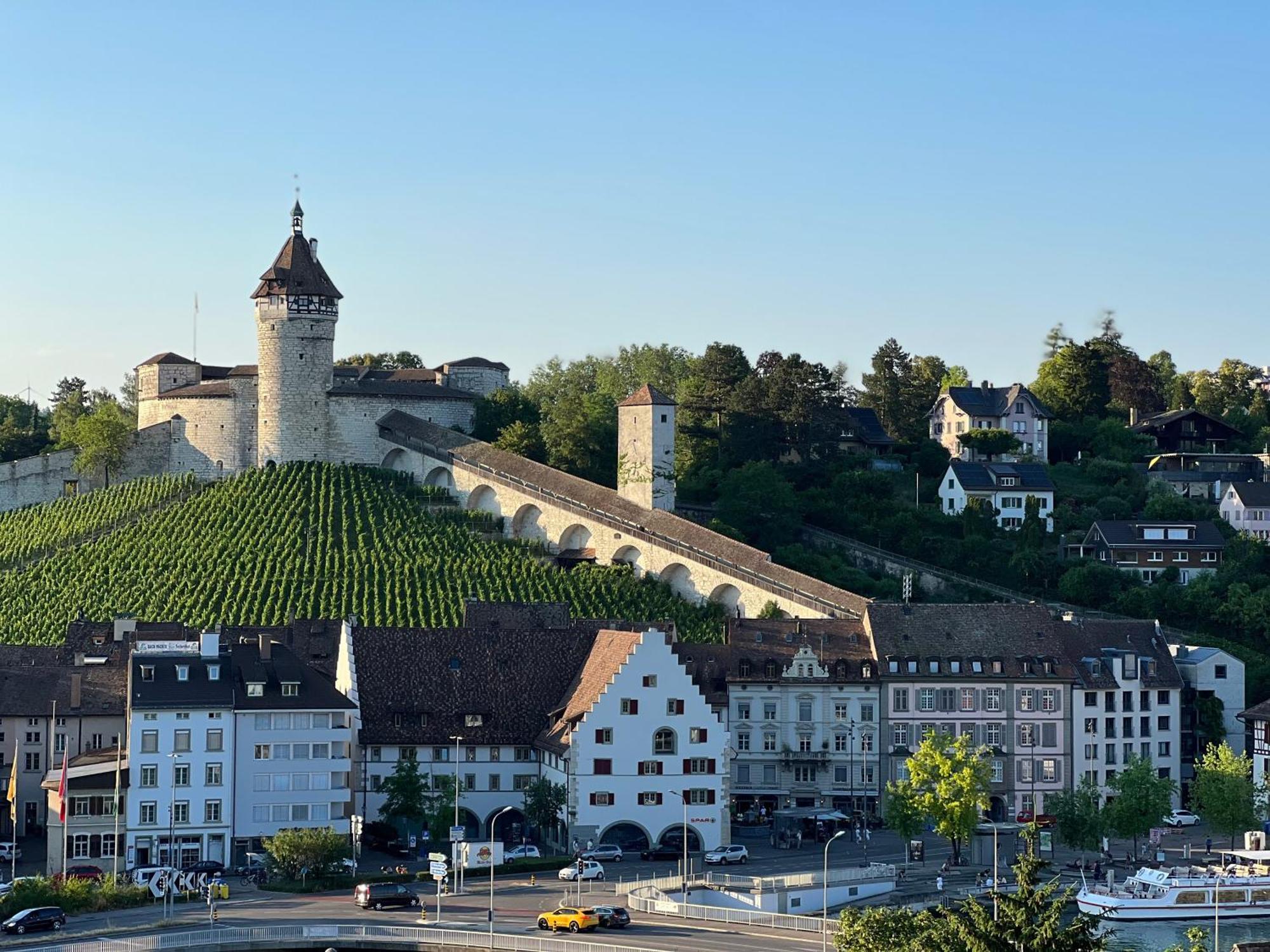 Mary's Family Apartments: Spacious Soho, South Beach, Or Loft Near Rhine Falls Apartment *