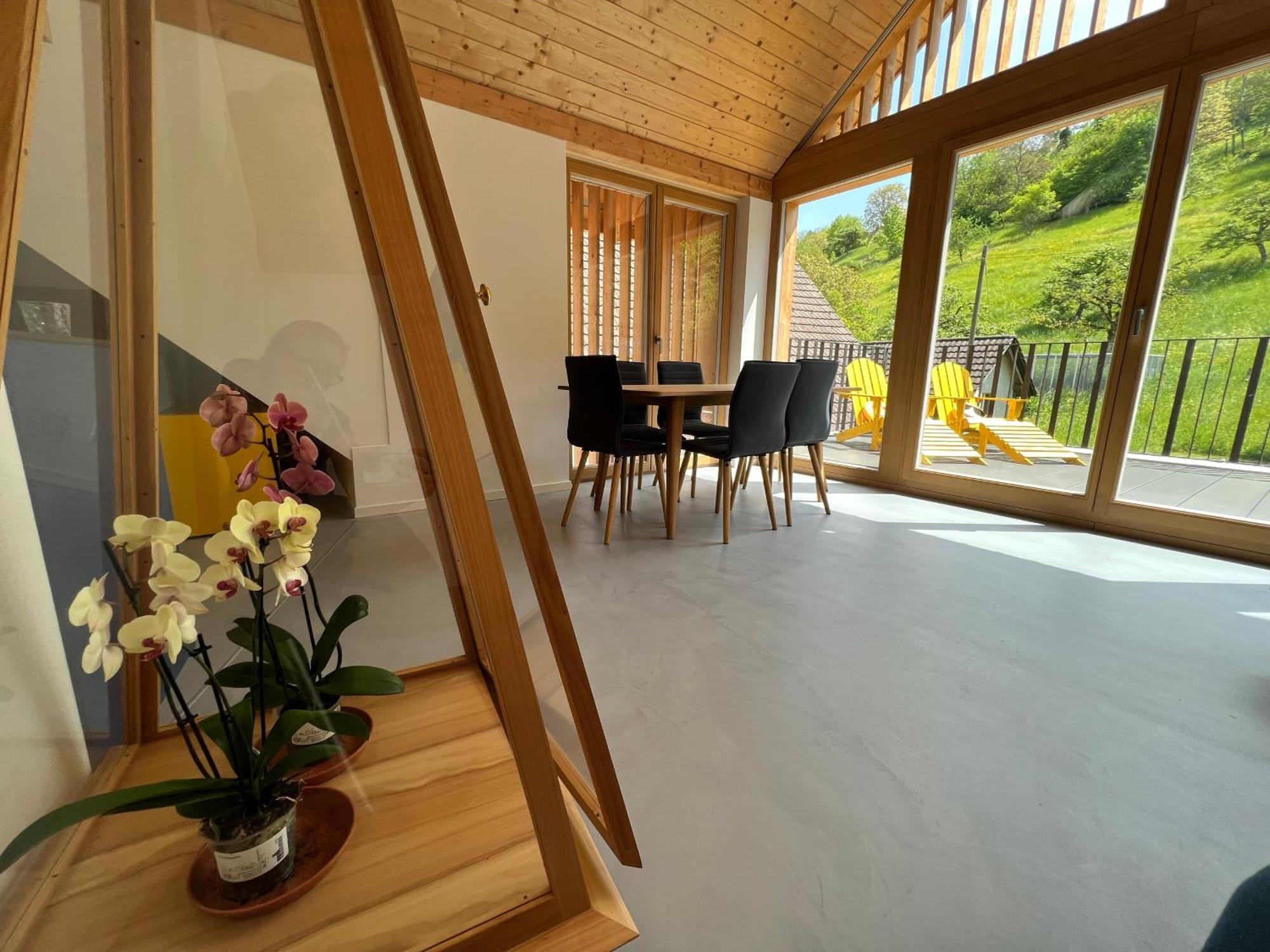 Mary's Family Apartments: Spacious Soho, South Beach, Or Loft Near Rhine Falls Schaffhausen