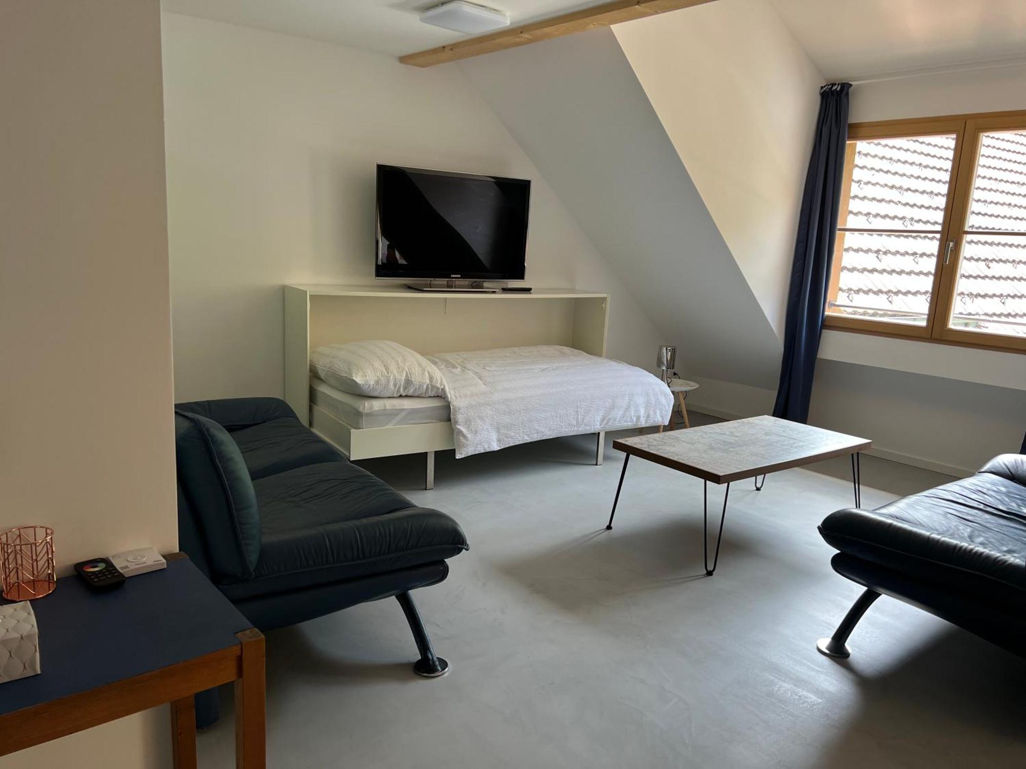Marys Family Friendly Apartments,visit Rhine Falls For Free If 2 Nights, Soho 95m2 2-bedrooms 2nd Floor & South 105m2 3-bedrooms & Loft 115m2 3-bedrooms With Galerie,loft Netz 20m2, Pinball, Schaffhausen-hemmental, Rheinfall 10 K Appartement Schaffhouse