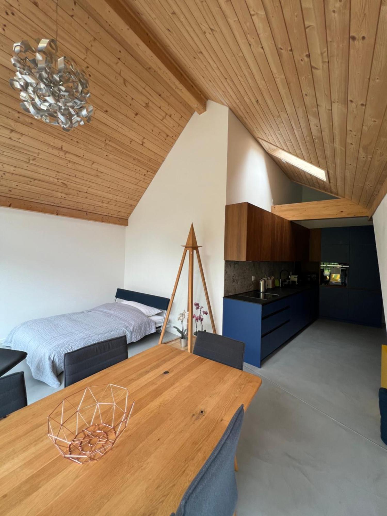 Mary's Family Apartments: Spacious Soho, South Beach, Or Loft Near Rhine Falls * Schaffhausen