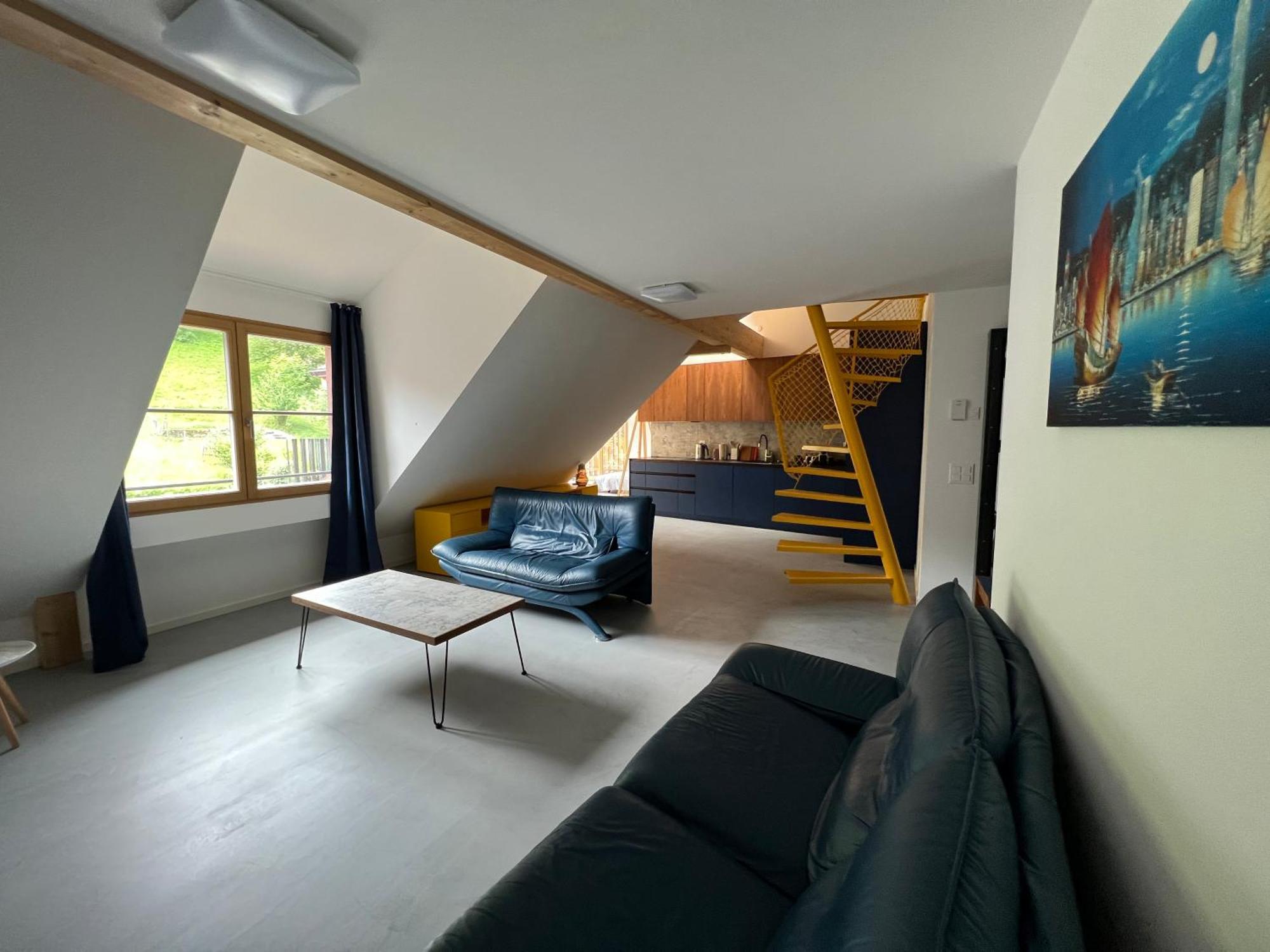 Apartment Mary's Family Apartments: Spacious Soho, South Beach, Or Loft Near Rhine Falls *
