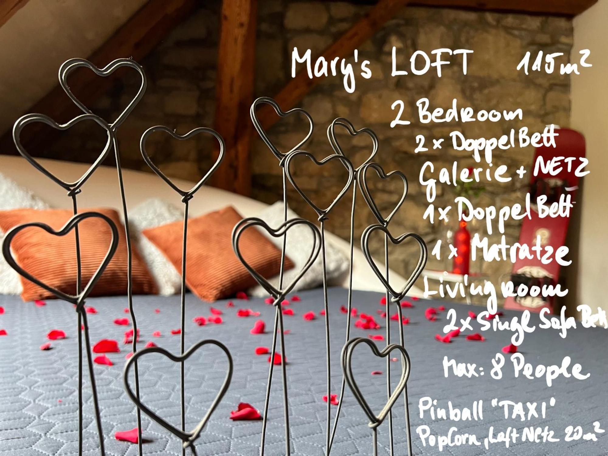 Mary's Family Apartments: Spacious Soho, South Beach, Or Loft Near Rhine Falls