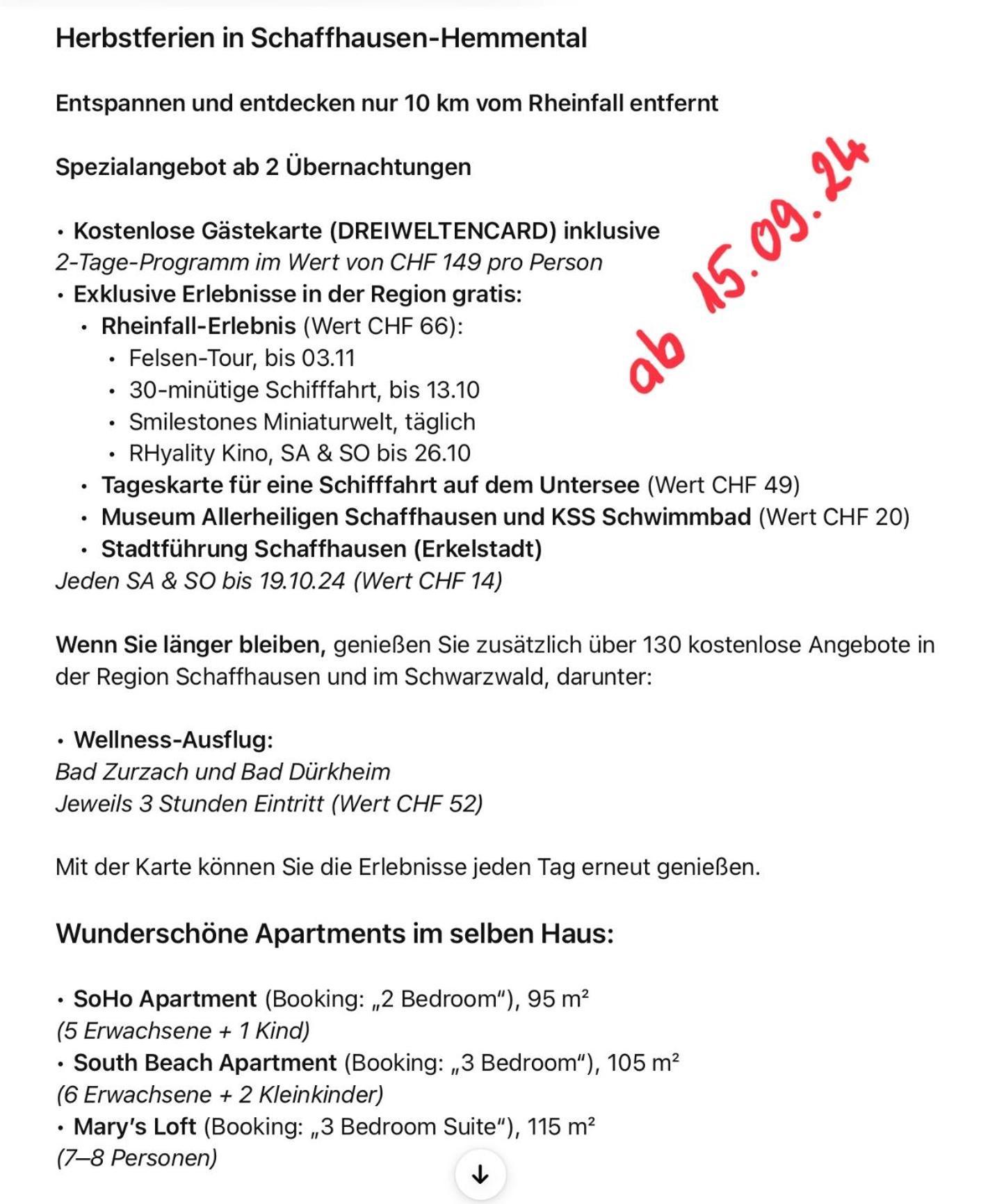 Marys Family Friendly Apartments,visit Rhine Falls For Free If 2 Nights, Soho 95m2 2-bedrooms 2nd Floor & South 105m2 3-bedrooms & Loft 115m2 3-bedrooms With Galerie,loft Netz 20m2, Pinball, Schaffhausen-hemmental, Rheinfall 10 K Appartement