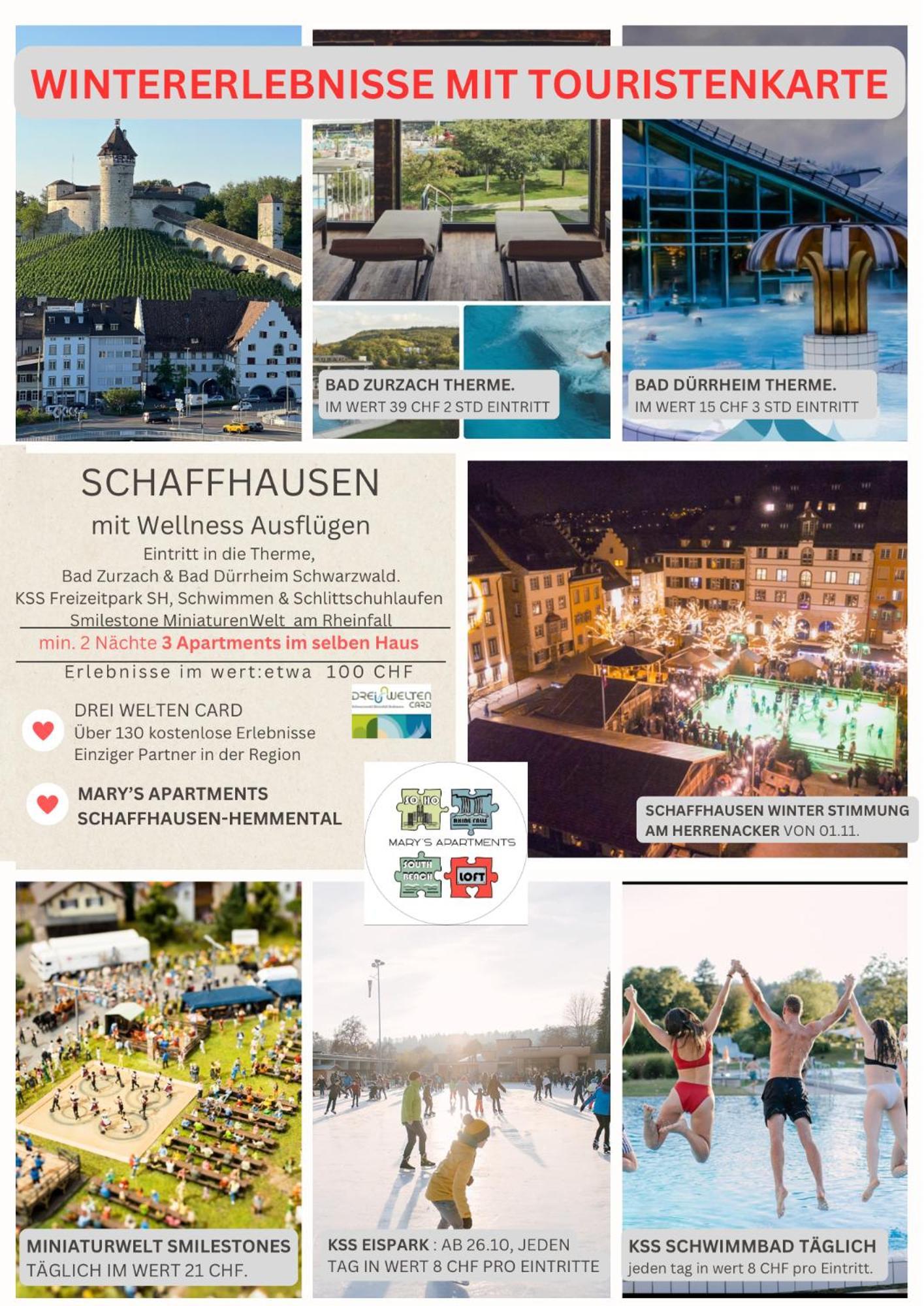 Mary's Family Apartments: Spacious Soho, South Beach, Or Loft Near Rhine Falls