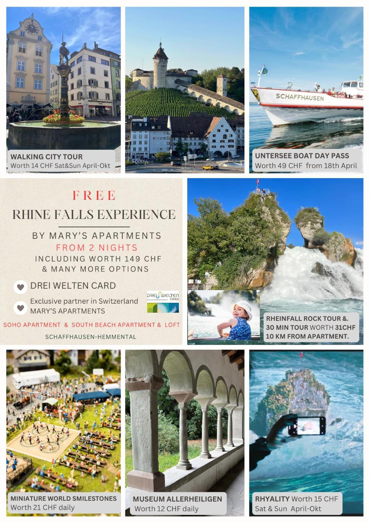 Marys Family Friendly Apartments,visit Rhine Falls For Free If 2 Nights, Soho 95m2 2-bedrooms 2nd Floor & South 105m2 3-bedrooms & Loft 115m2 3-bedrooms With Galerie,loft Netz 20m2, Pinball, Schaffhausen-hemmental, Rheinfall 10 K Appartement Schaffhouse